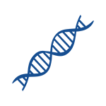 Cell Biology Reports