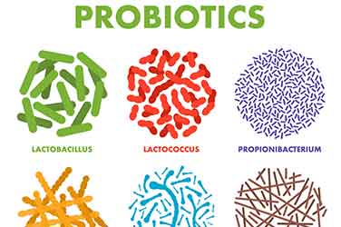 Innovation Spotlight: BioGaia: Probiotics